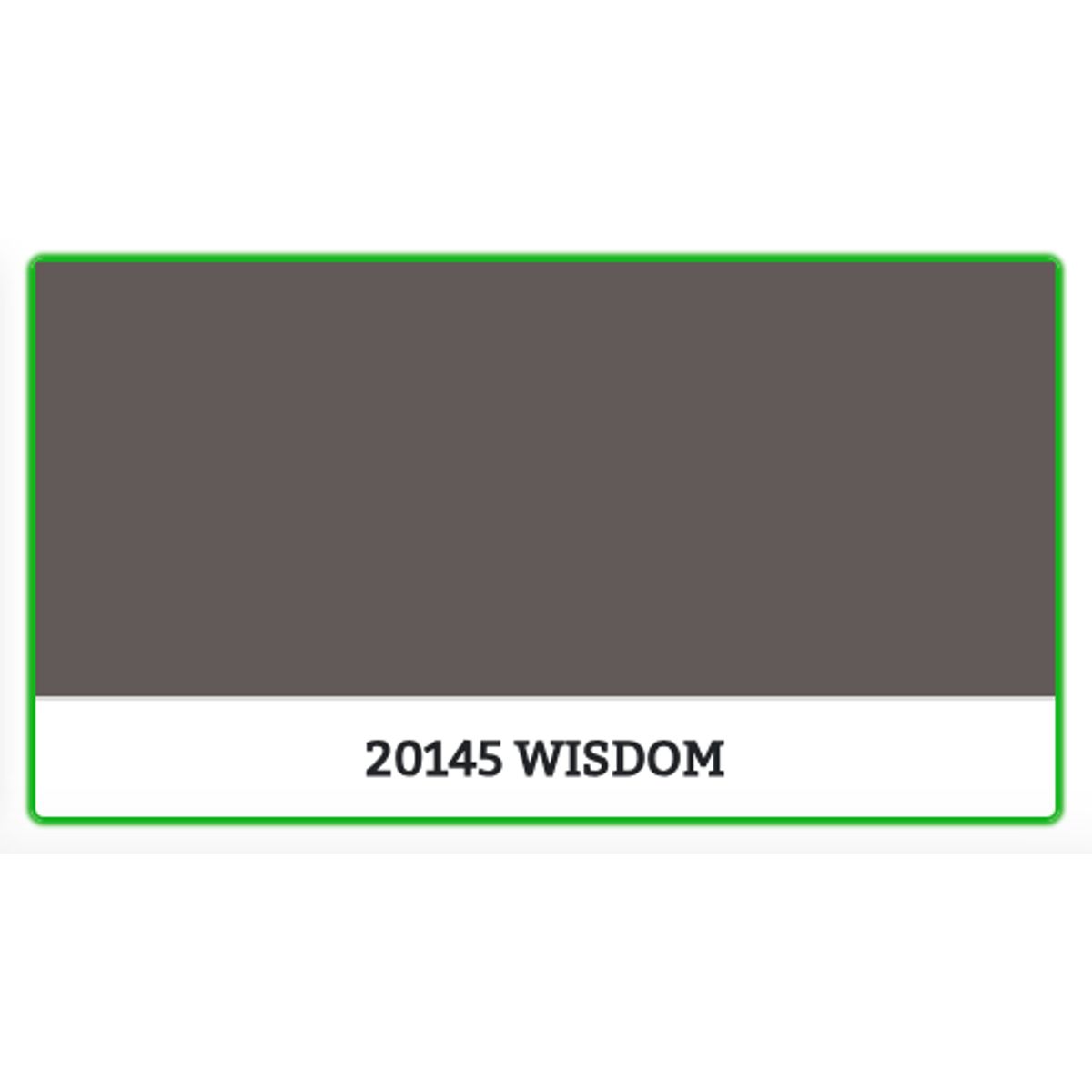 20145 - WISDOM - 0.68 L - Maling