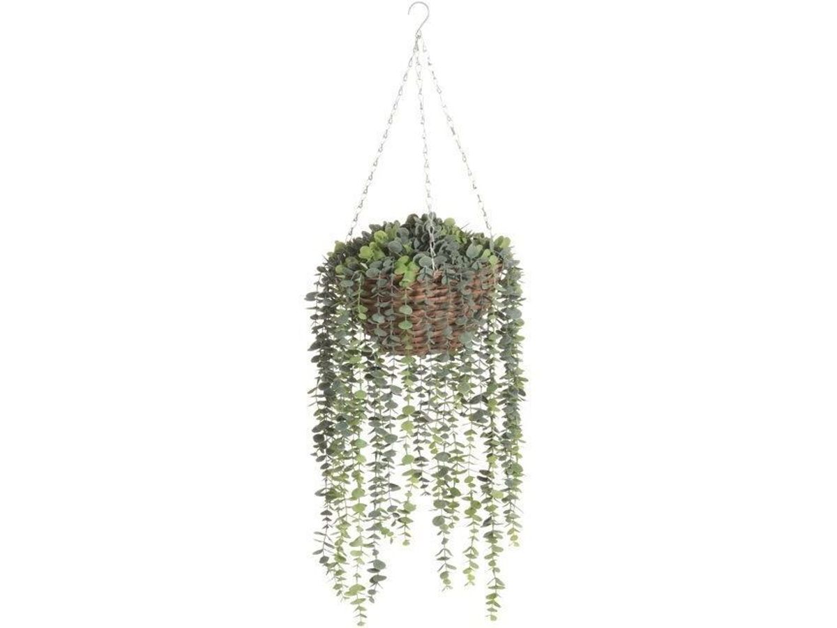 4Living Green Plant Ampel, 30 Cm