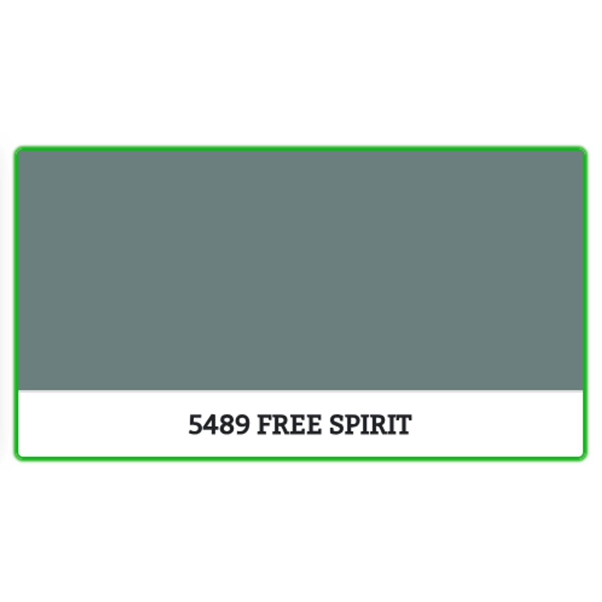 5489 - FREE SPIRIT - 0.68 L - Maling