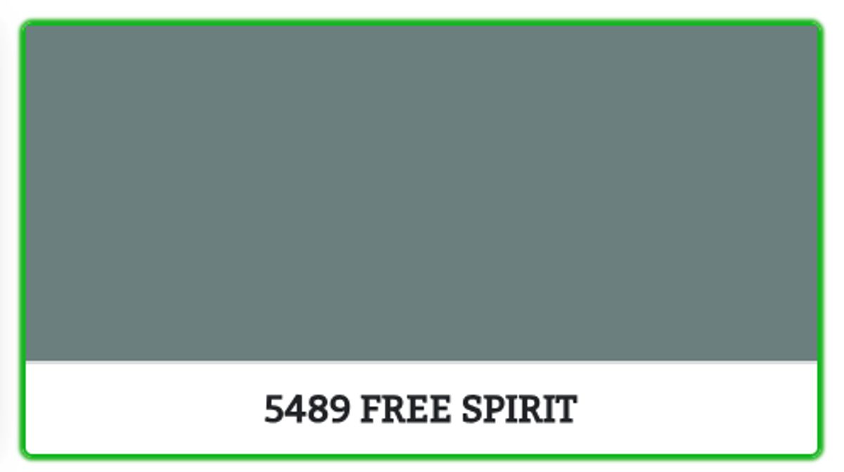 5489 - FREE SPIRIT - 9 L - Maling