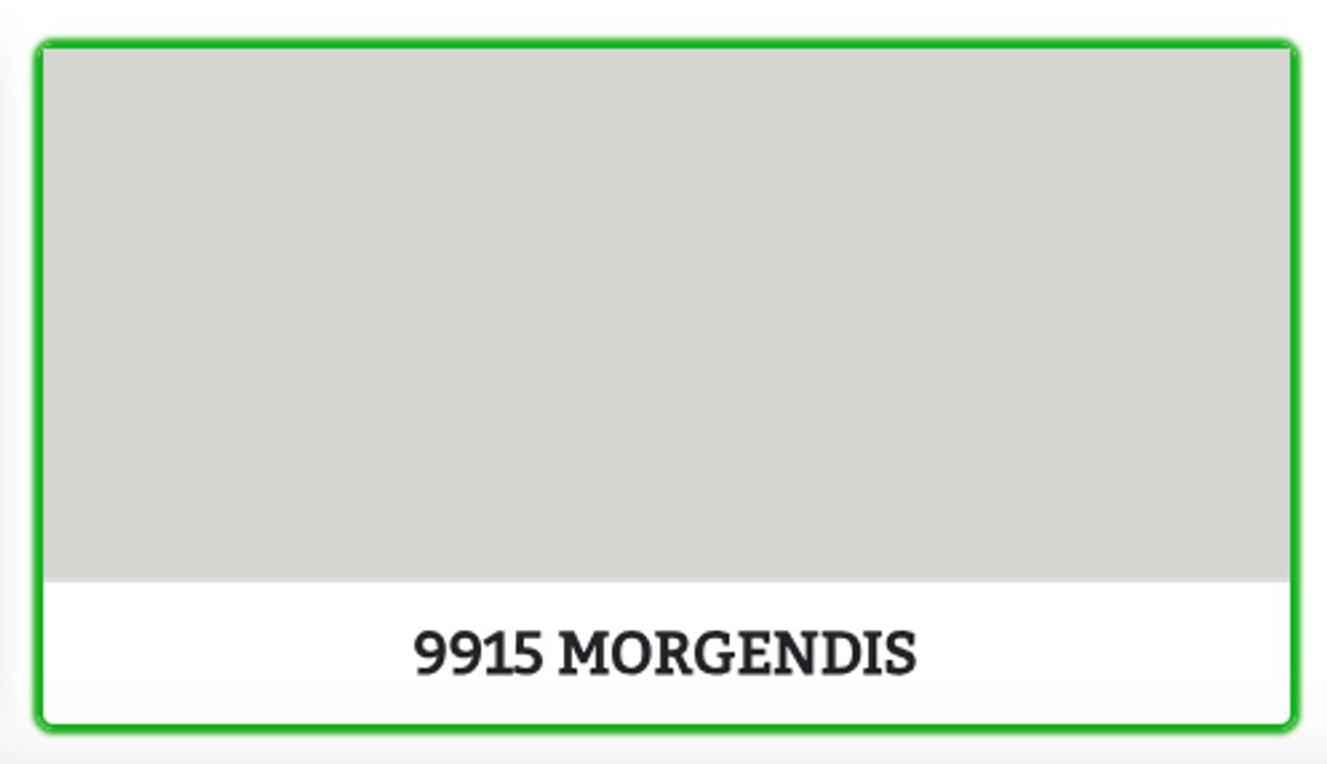 9915 - MORGENDIS - 0.68 L - Maling