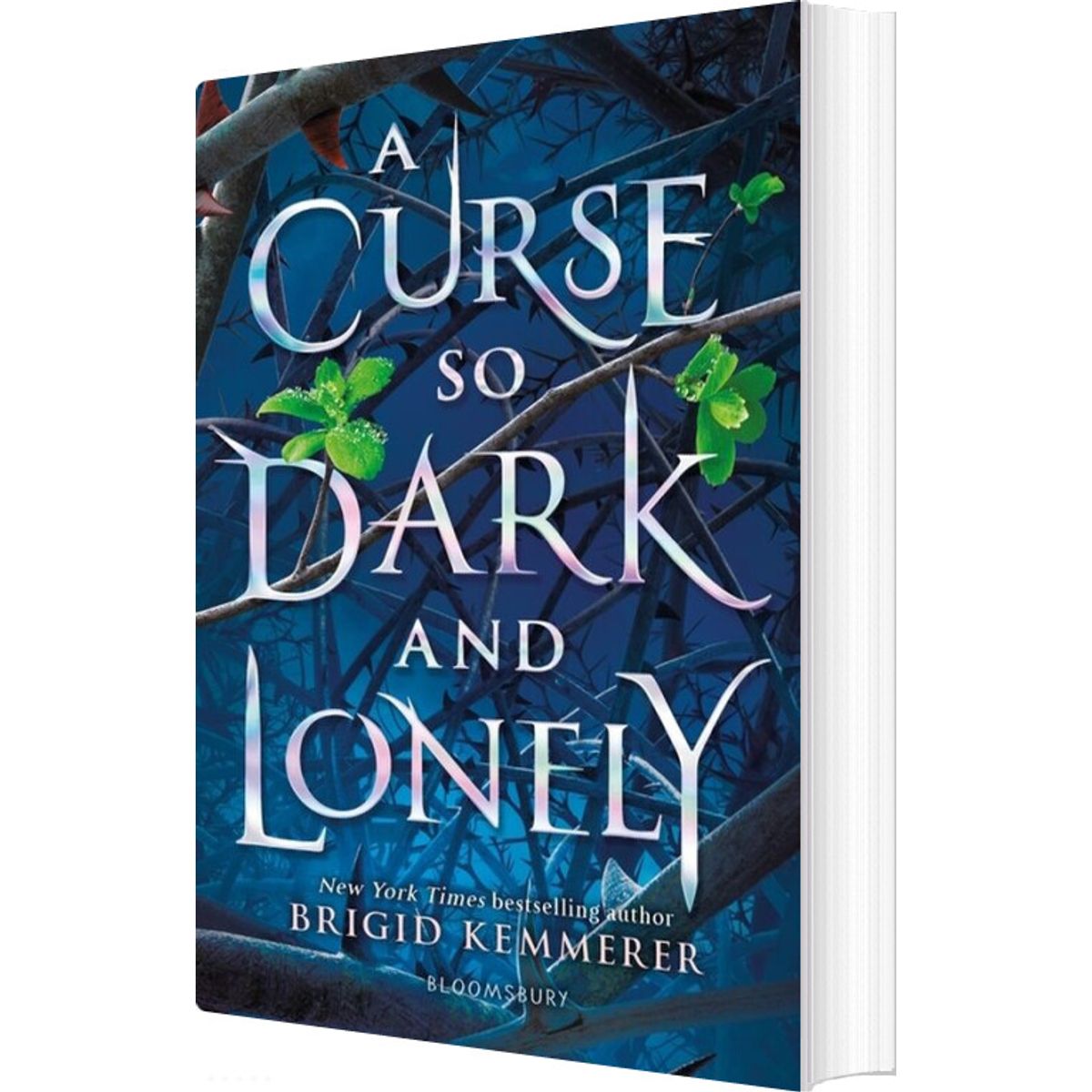 A Curse So Dark And Lonely - Brigid Kemmerer - English Book