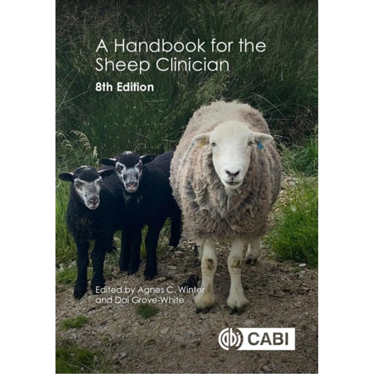 A Handbook for the Sheep Clinician