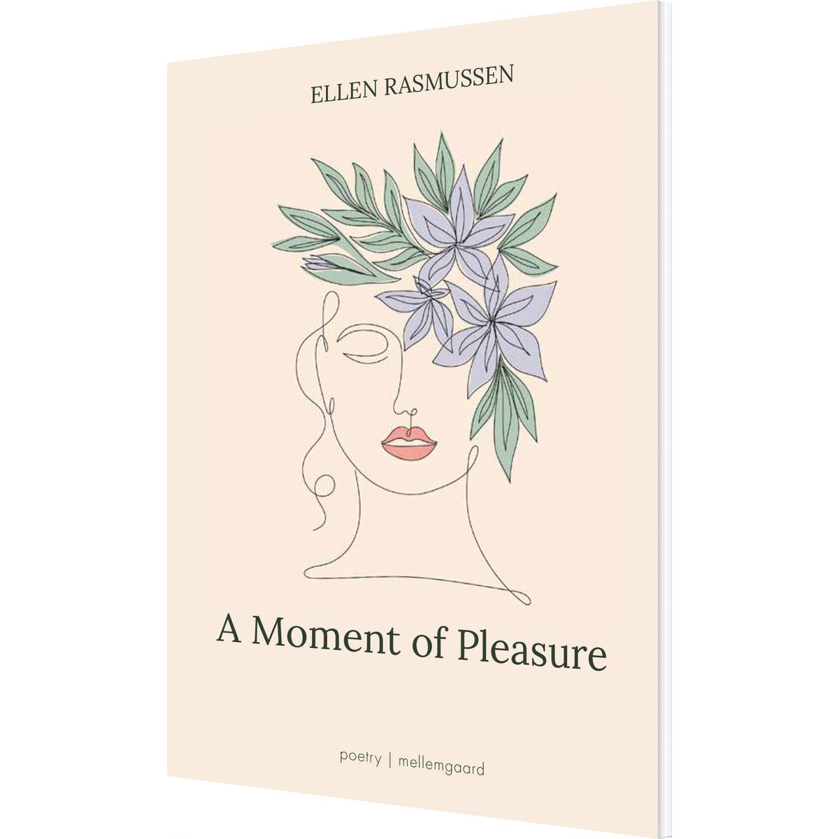 A Moment Of Pleasure - Ellen Rasmussen - English Book