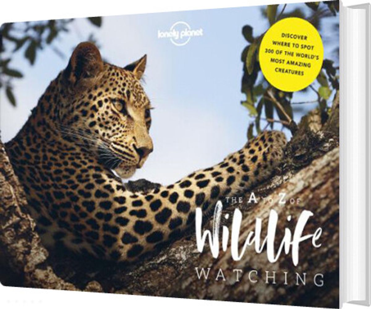 A-z Of Wildlife Watching - Diverse - English Book