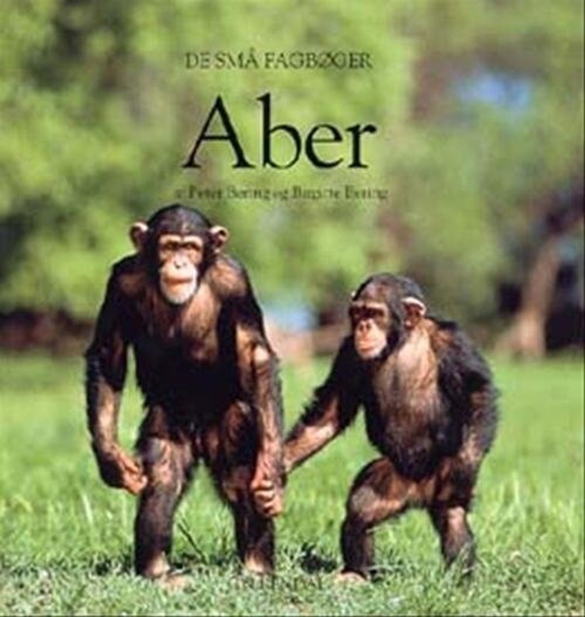 Aber - Peter Bering - Bog