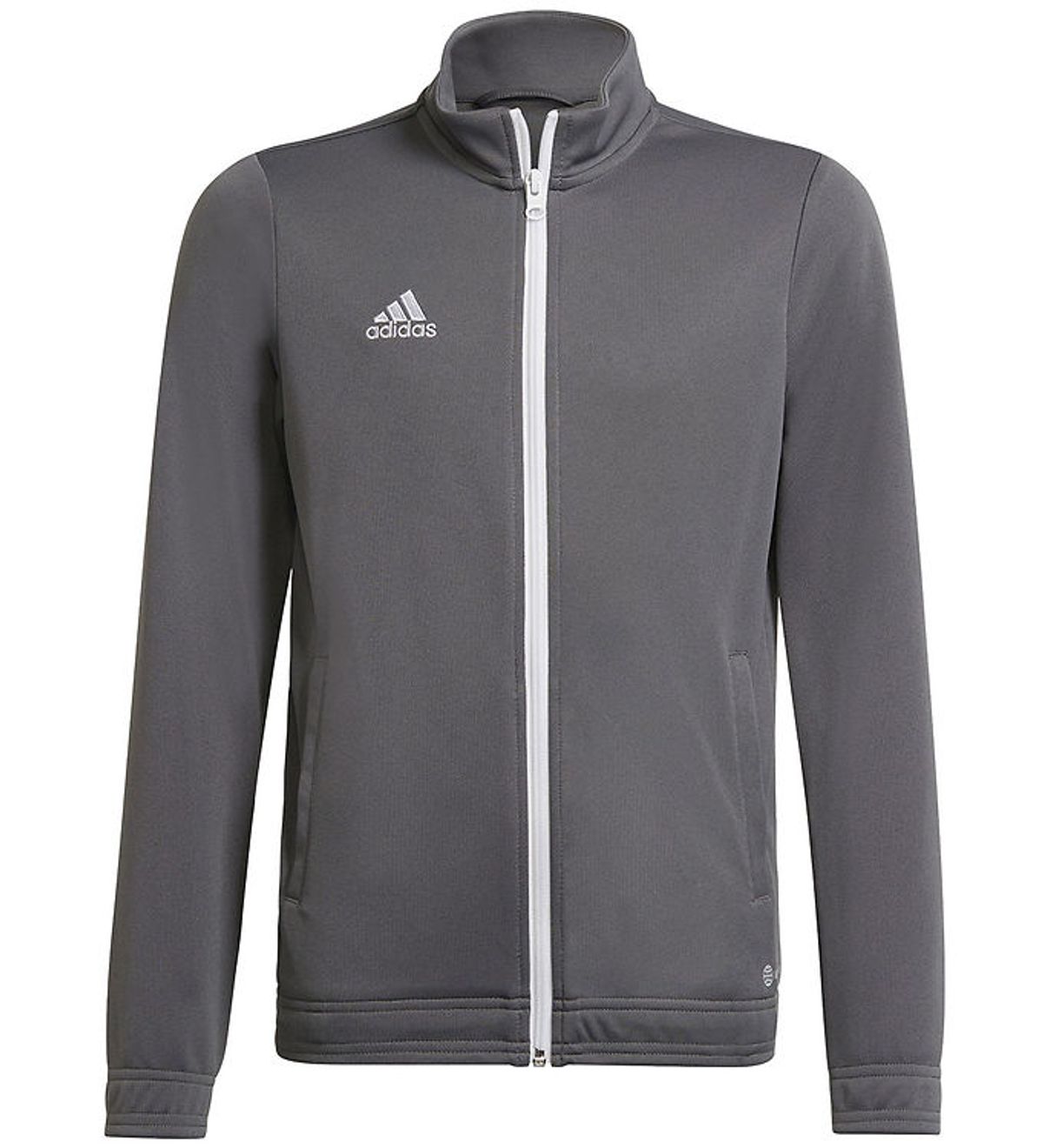 adidas Performance Cardigan - ENT22 TK JKTY - TEGRFO