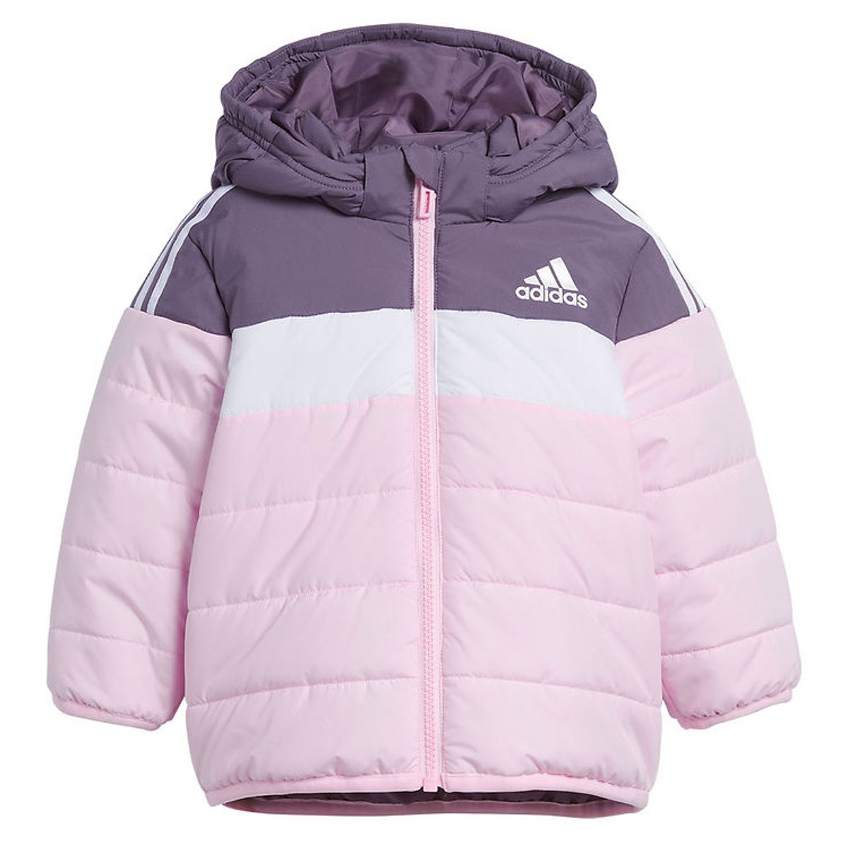 adidas Performance Dynejakke - IN F PAD JKT - Shavio