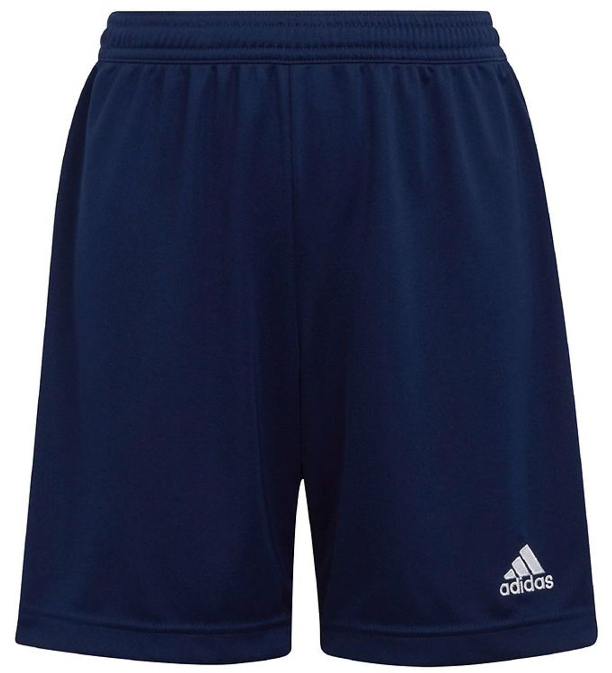 adidas Performance Shorts - ENTRADA 22 - Blå