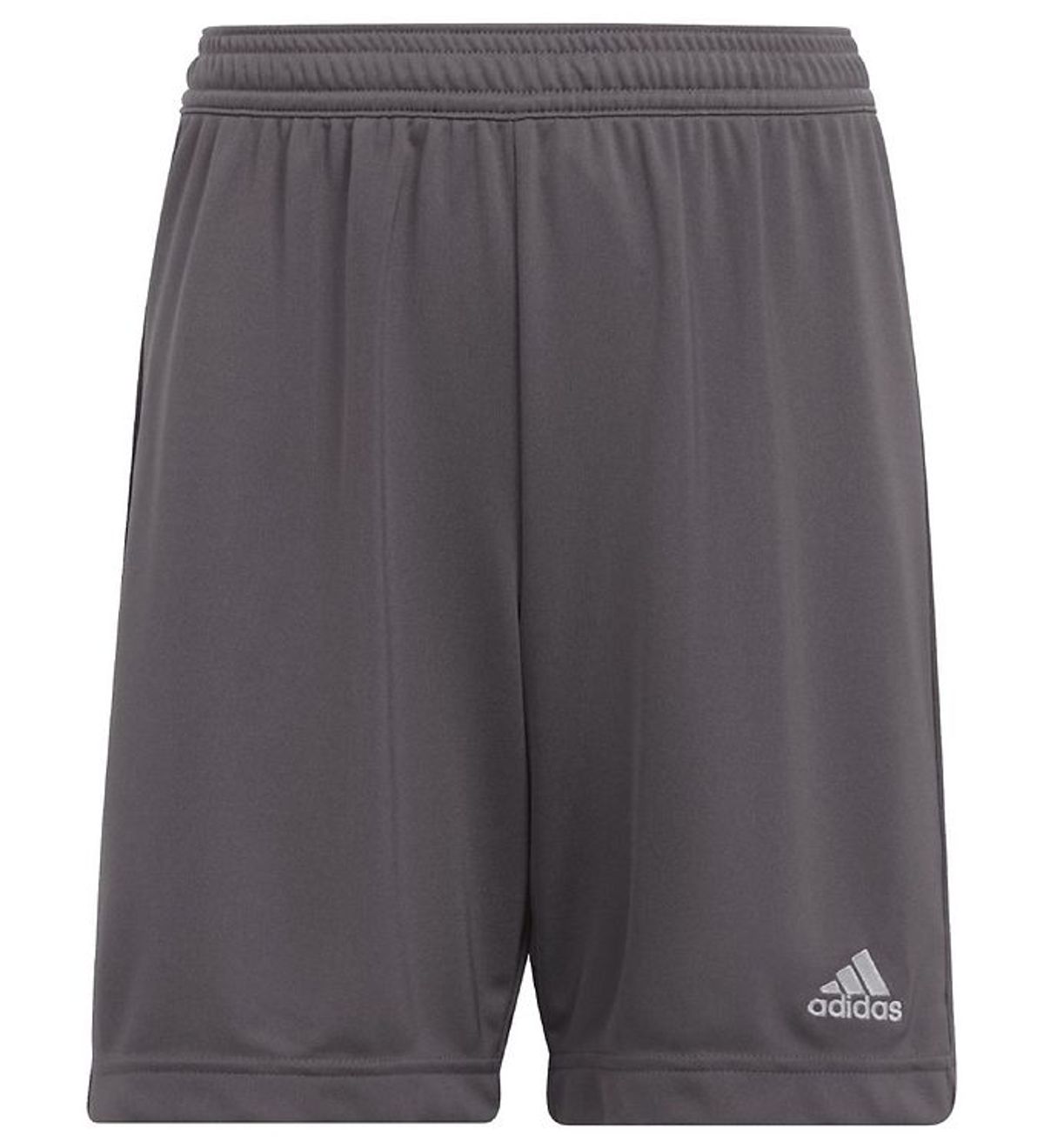 adidas Performance Shorts - Entrada 22 - Grå