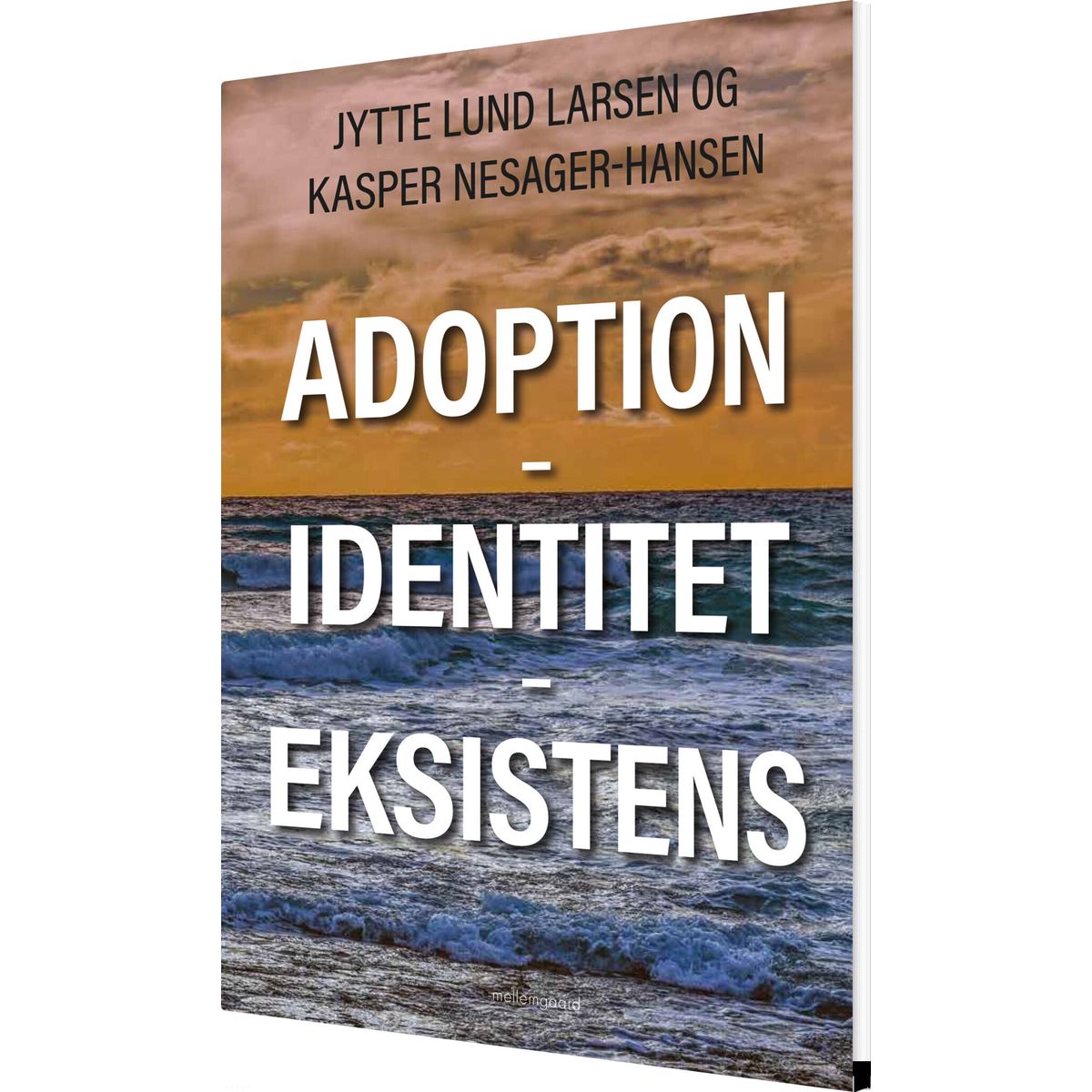 Adoption - Identitet - Eksistens - Jytte Lund Larsen - Bog