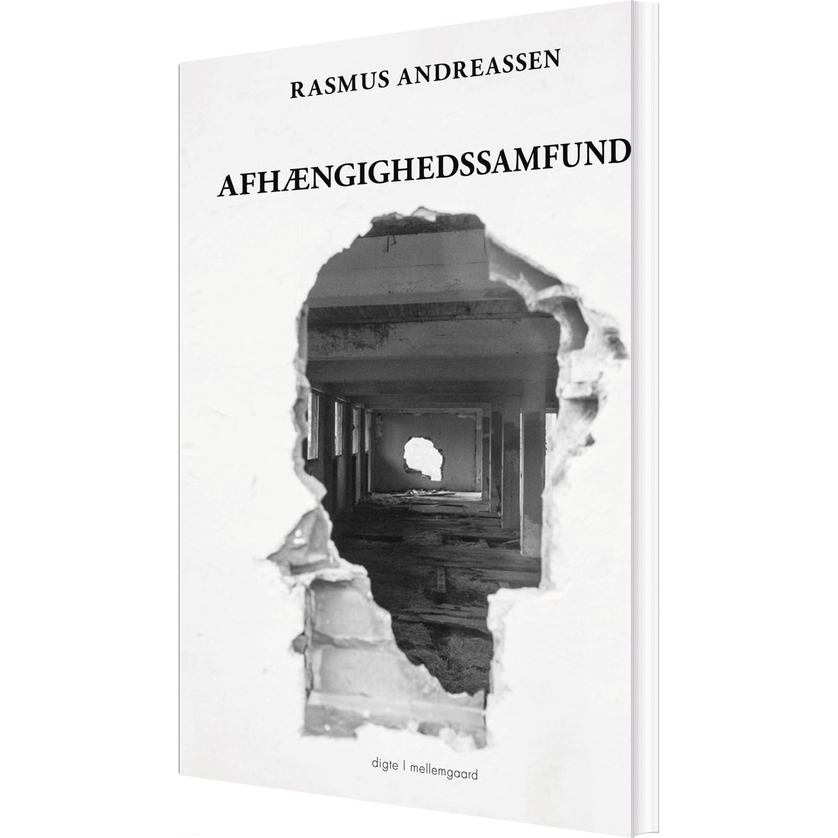 Afhængighedssamfund - Rasmus Andreassen - Bog