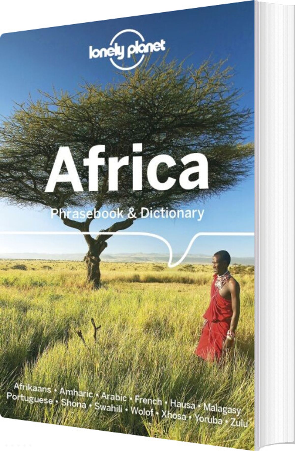 Africa Phrasebook & Dictionary - Diverse - English Book