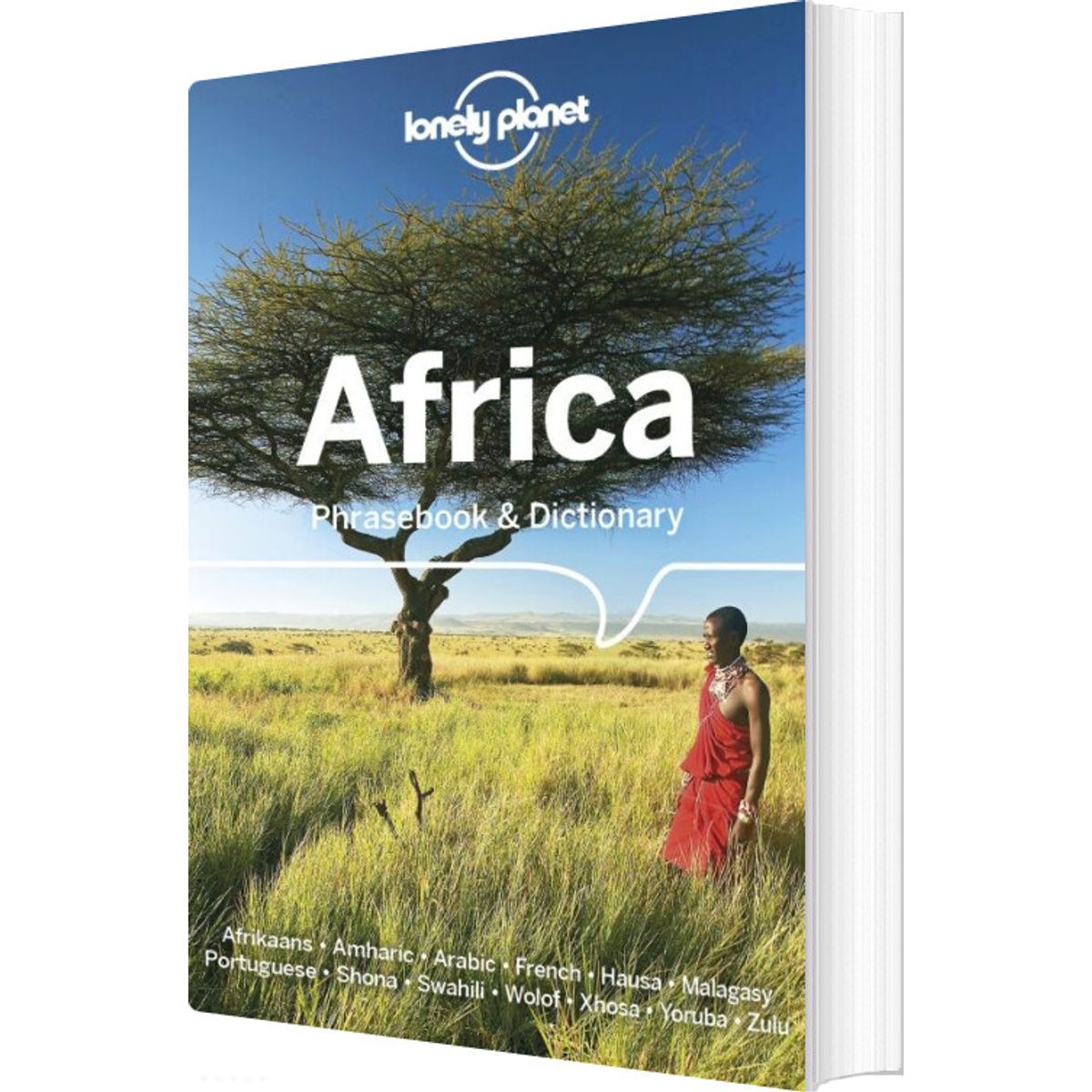 Africa Phrasebook & Dictionary - Lonely Planet - English Book