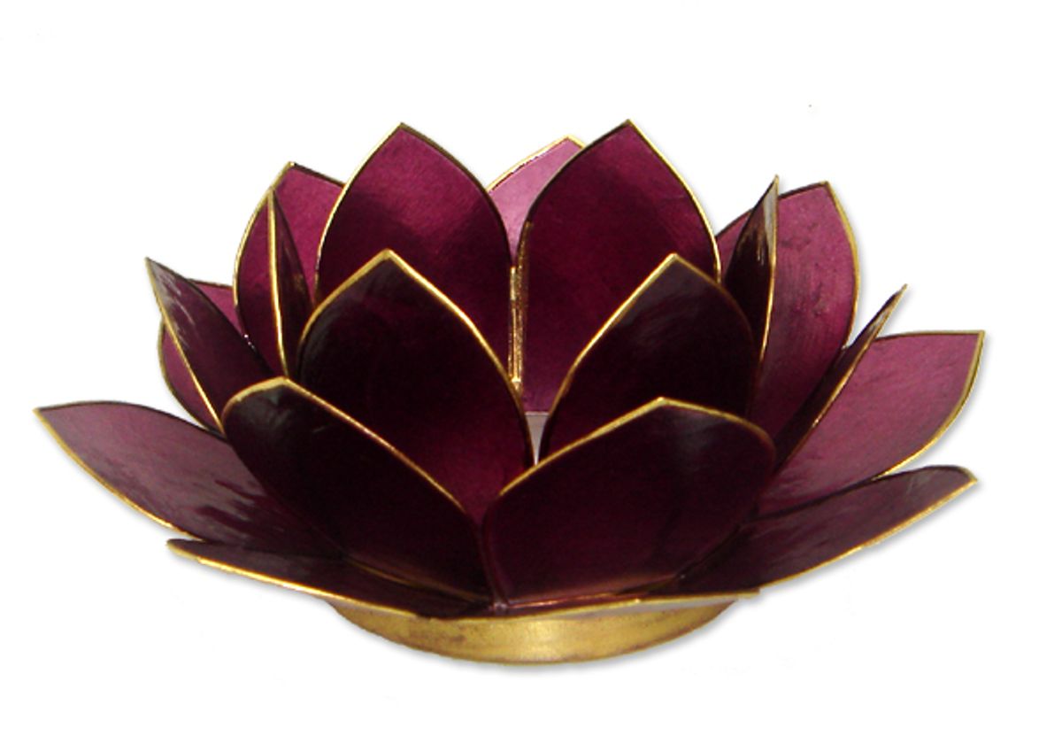 African Image - Lotus lysestage - Blomme