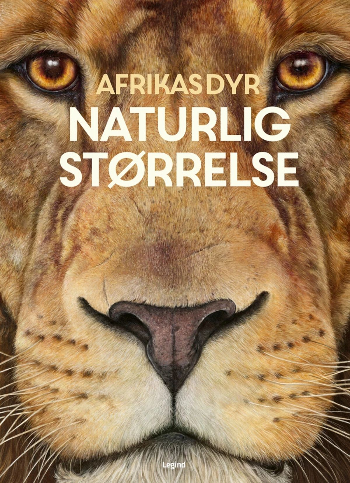 Afrikas dyr - i naturlig størrelse