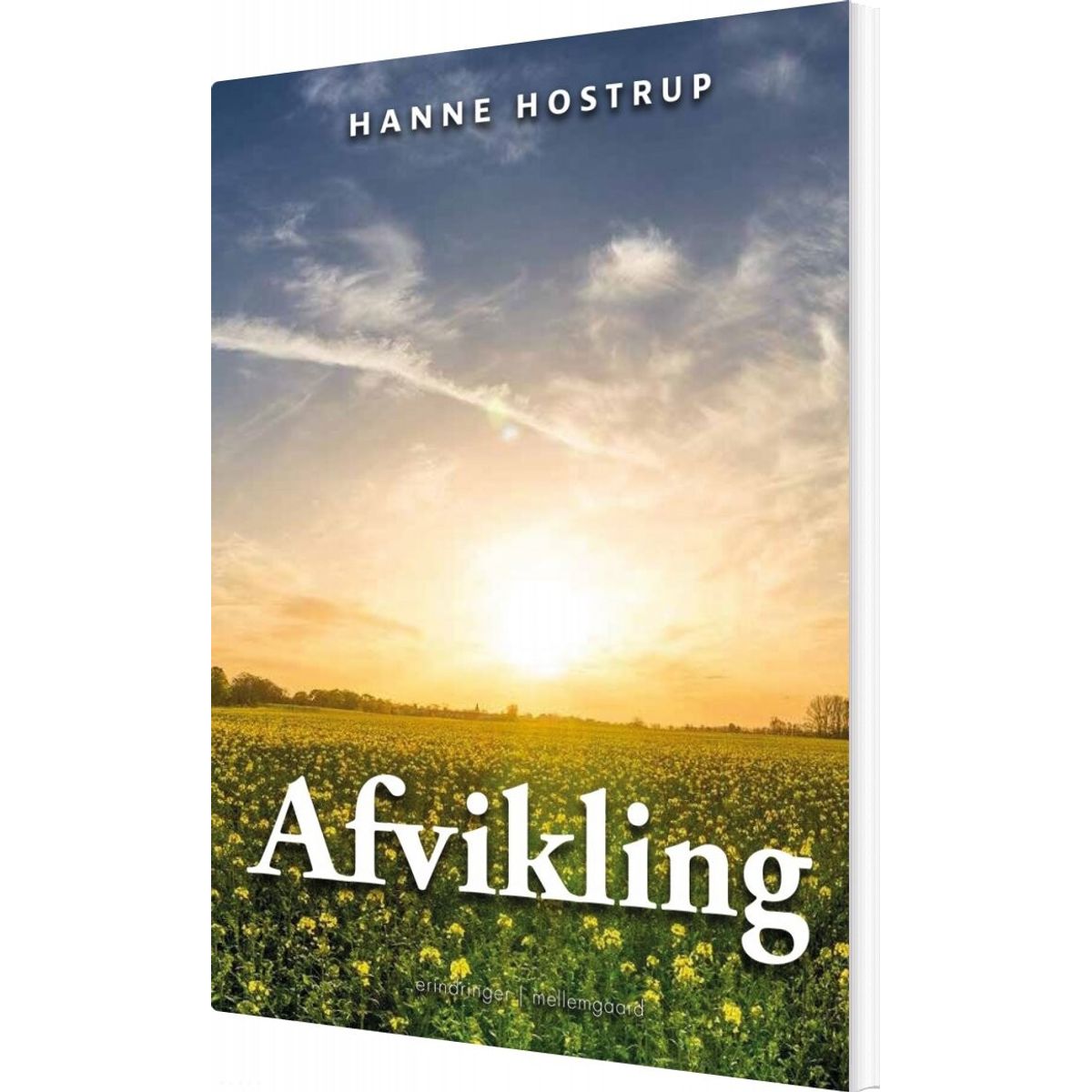 Afvikling - Hanne Hostrup - Bog