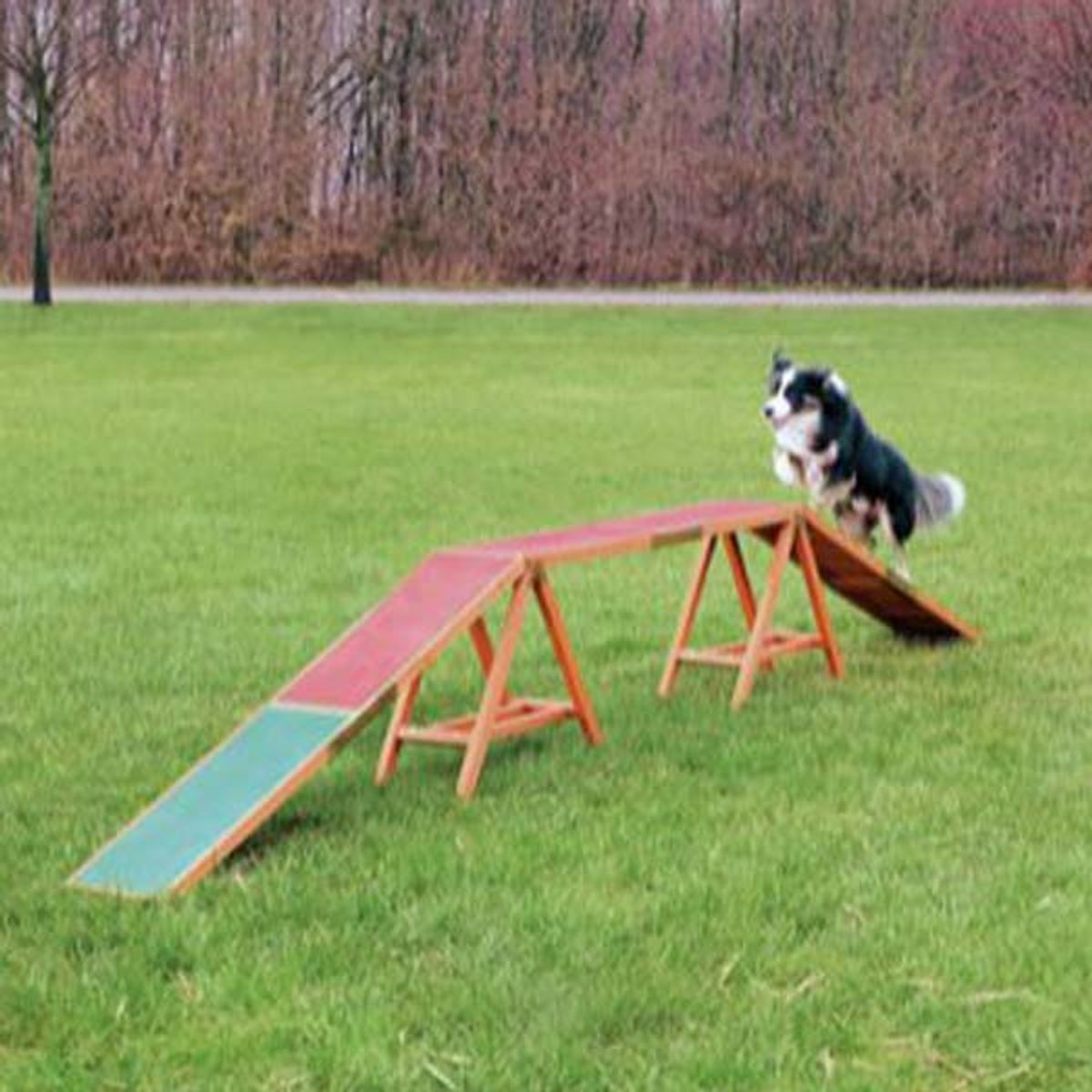 Agility Trappe - Dogwalk