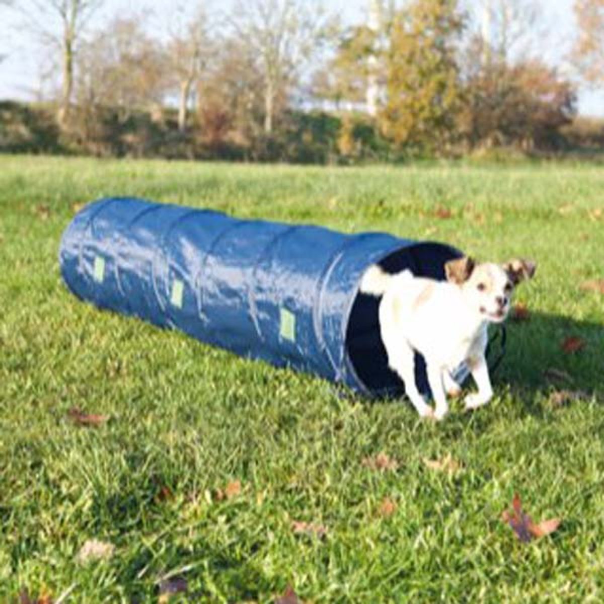 Agility Tunnel - 2 meter