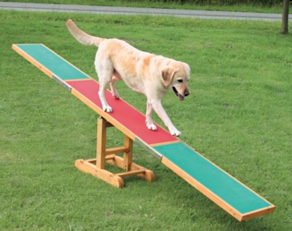 Agility vippe L300 x B34 x H54 cm.