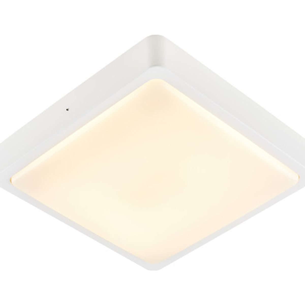 Ainos Square Udendørs LED Væg-& Loft Påbygn. Hvid CCT 3000/4000K