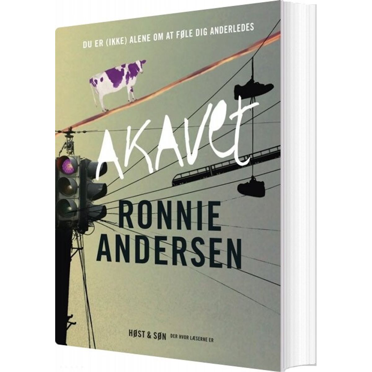 Akavet - Ronnie Andersen - Bog