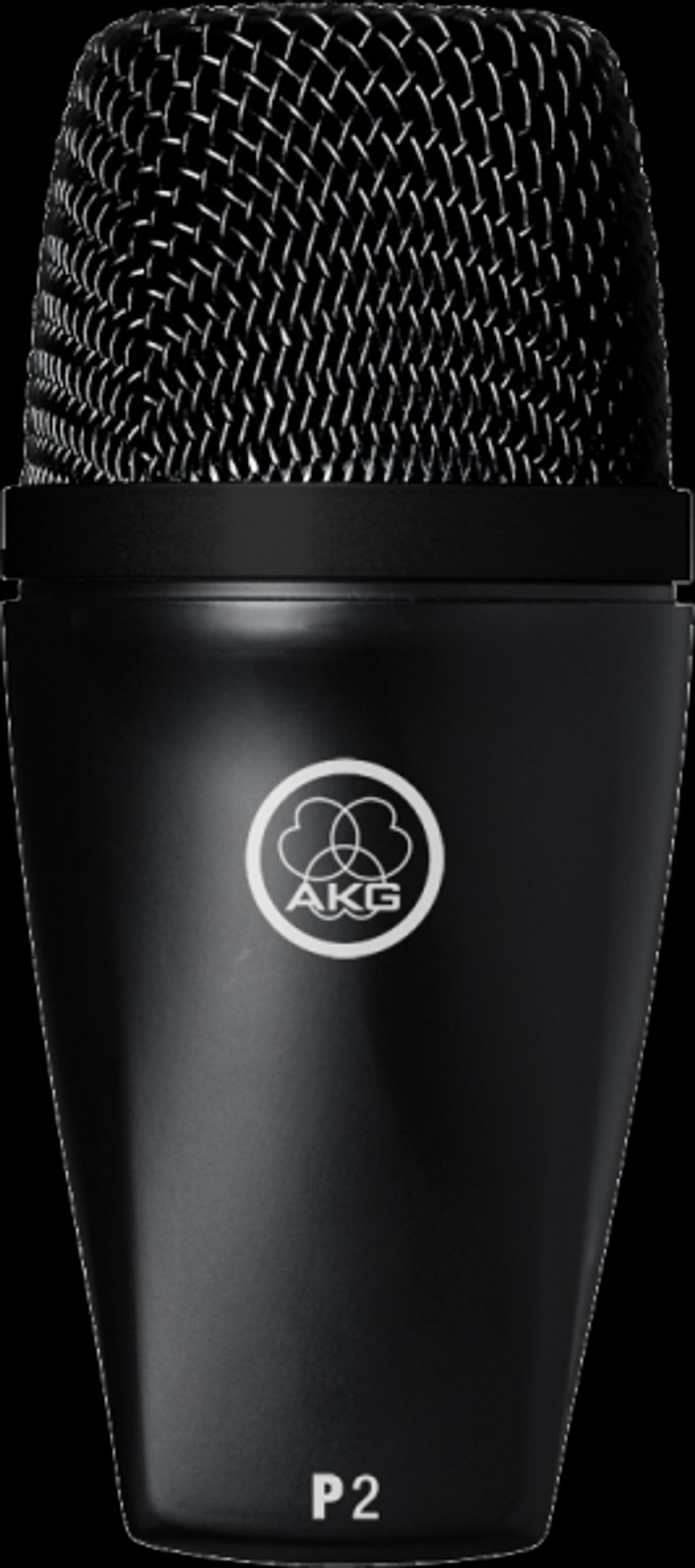 AKG Perception P2 Instrument Mikrofon