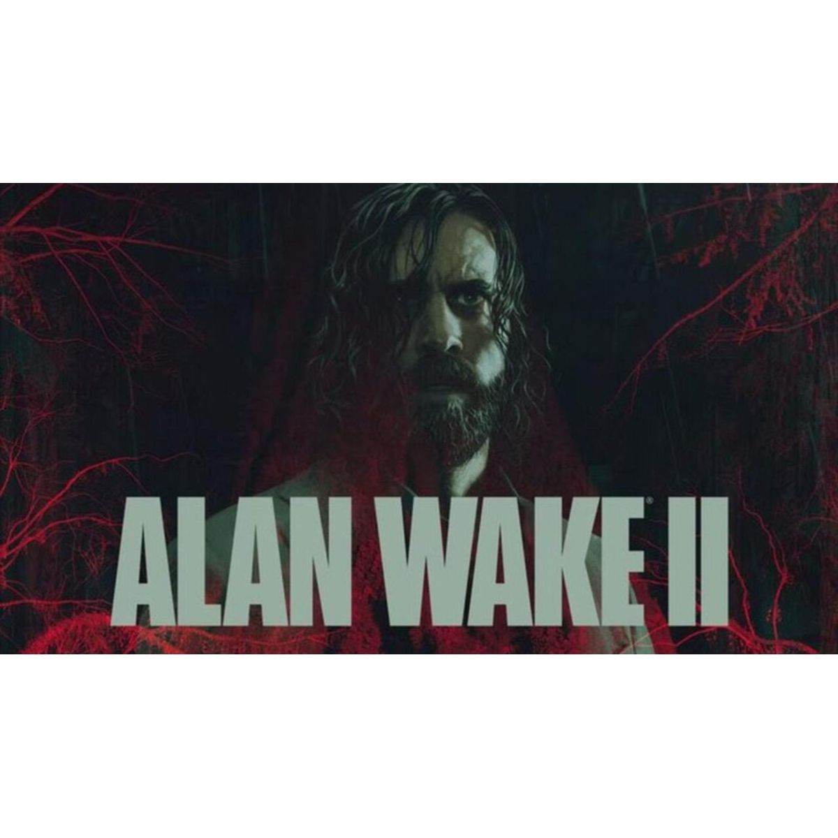 Alan Wake 2 Epic Games Green Gift Redemption Code - EZGame.dk