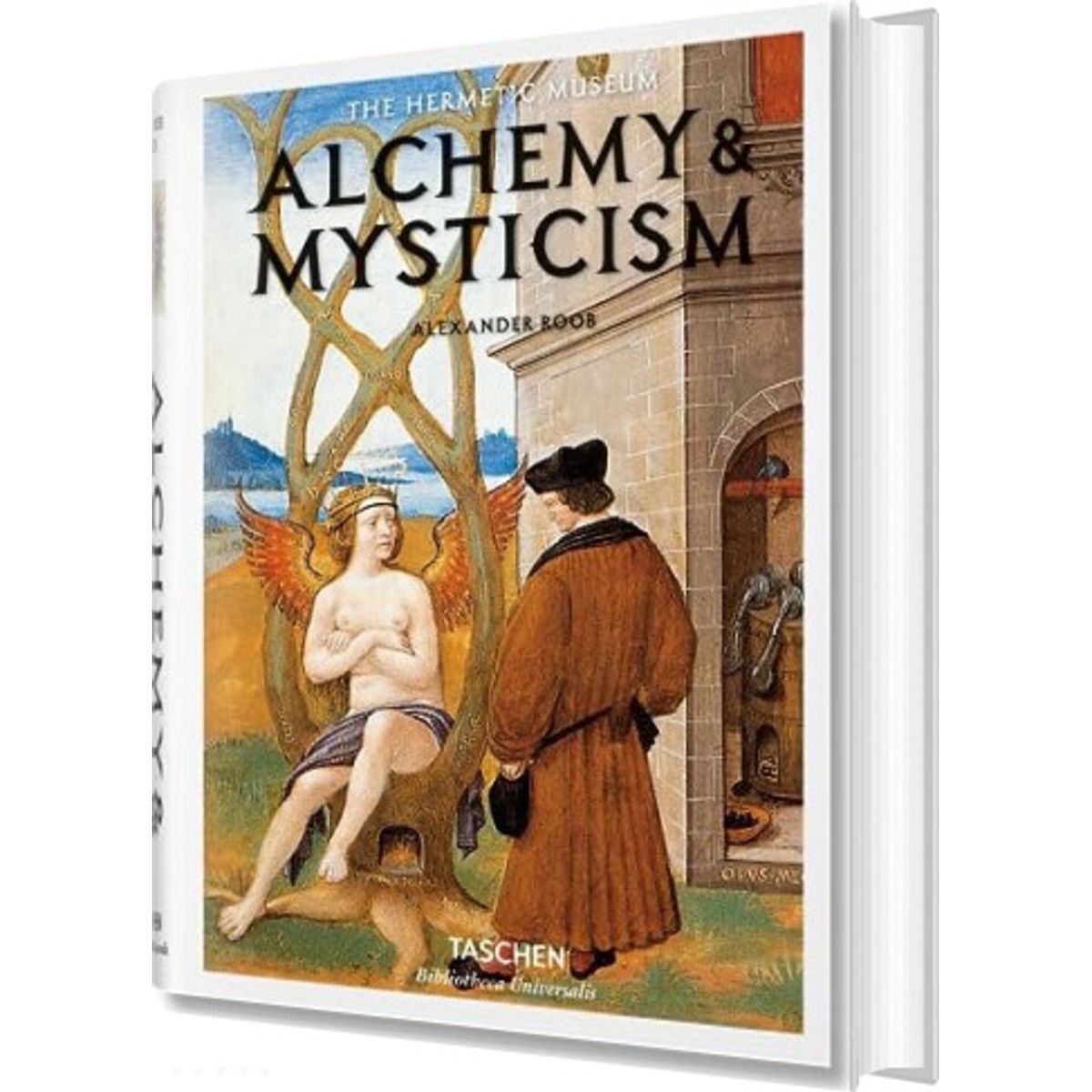 Alchemy & Mysticism - Alexander Robb - English Book