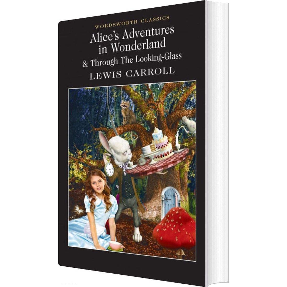 Alice's Adventures In Wonderland - Lewis Carroll - English Book