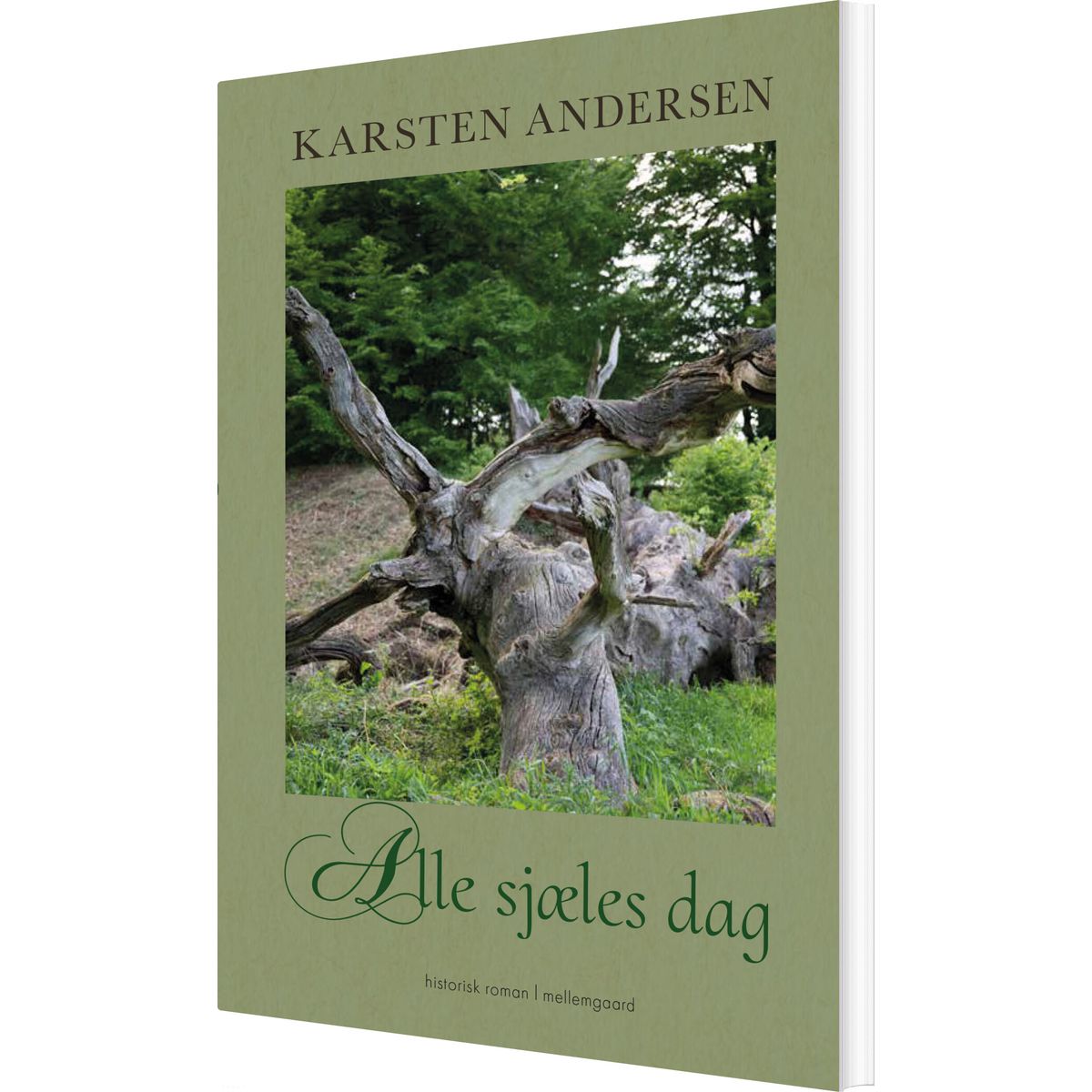 Alle Sjæles Dag - Karsten Andersen - Bog