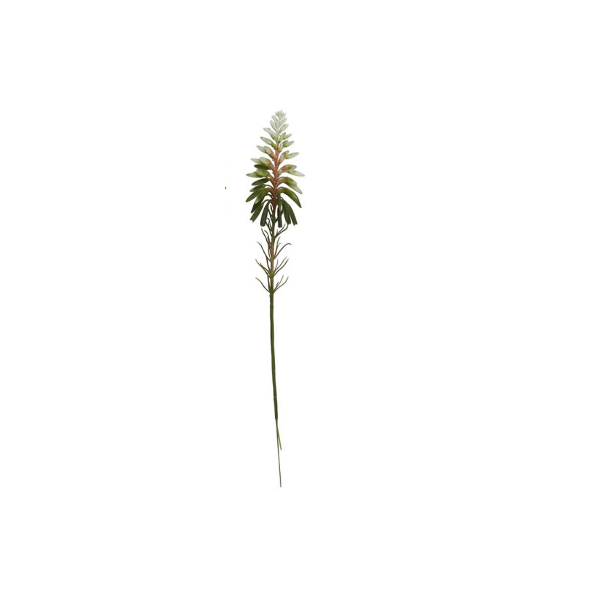 ALOE STILK HVID 38CM