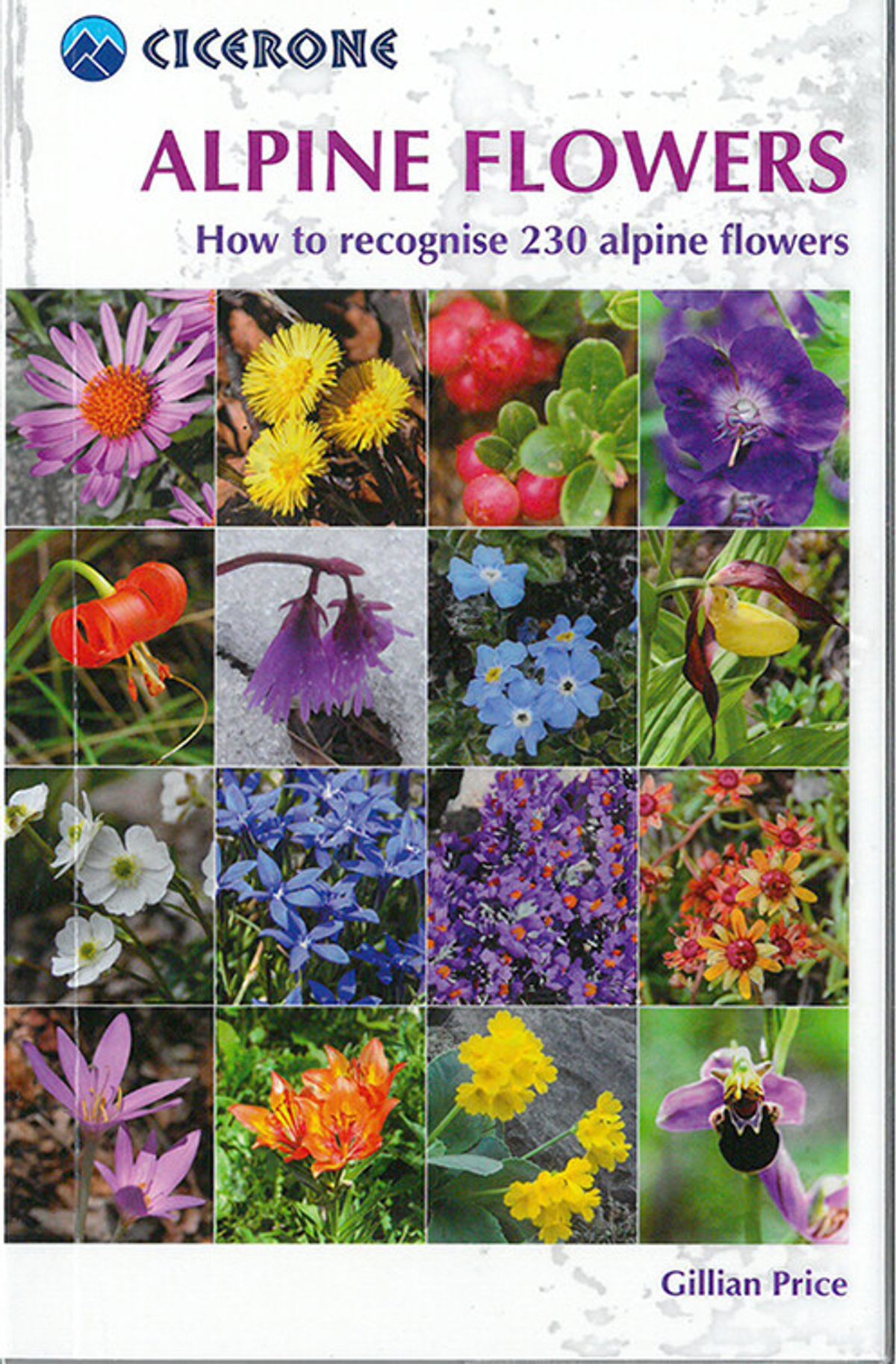 Alpine Flowers - Gilian Price - English Book