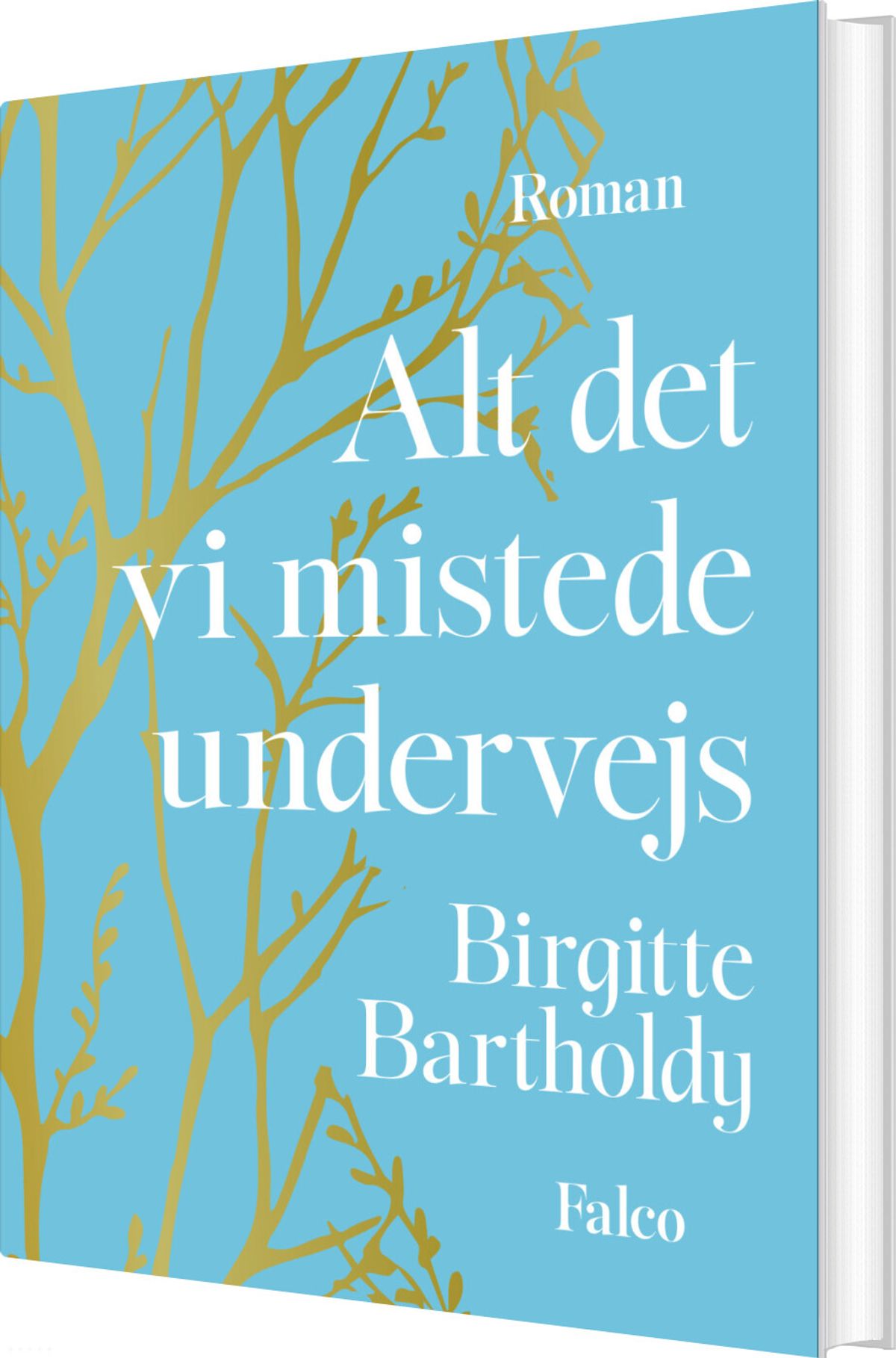 Alt Det Vi Mistede Undervejs - Birgitte Bartholdy - Bog