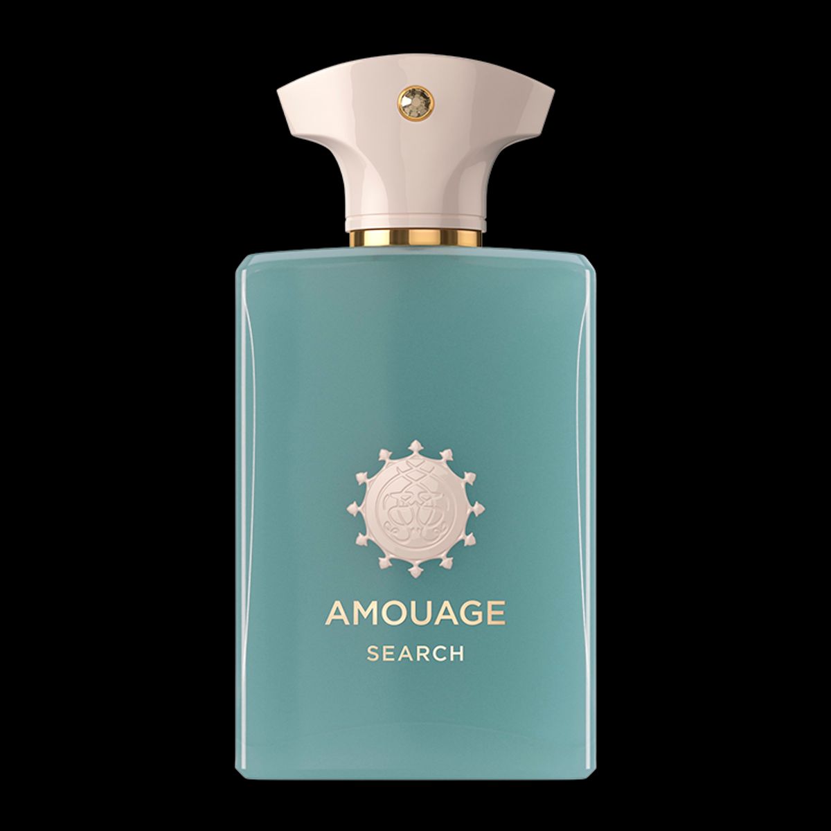 Amouage Search Man EDP (100 ml)