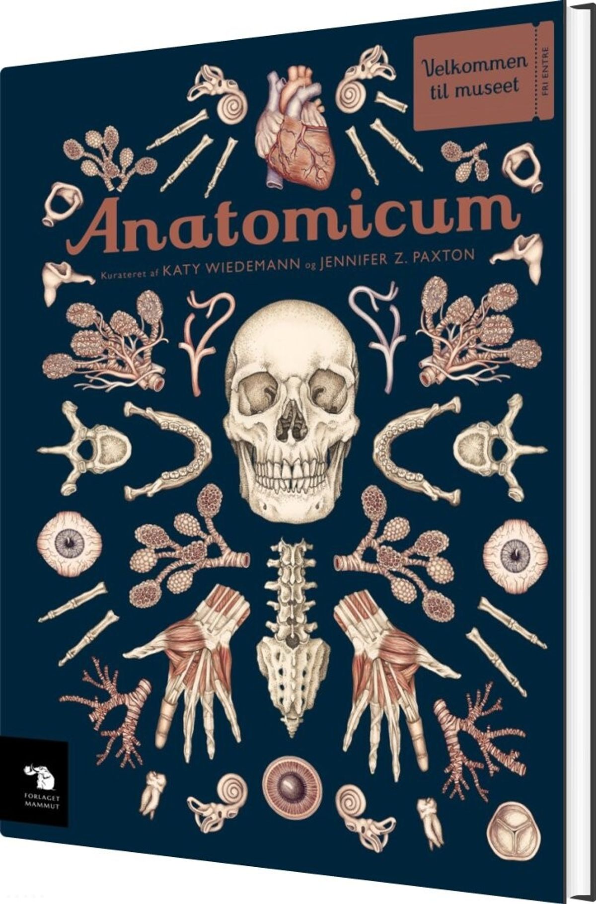 Anatomicum - Katy Wiedemann - Bog