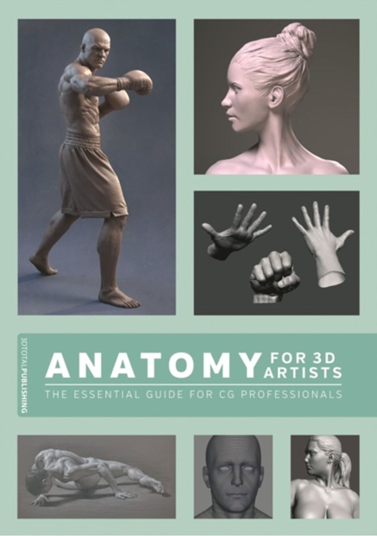 Anatomy for 3D Artists