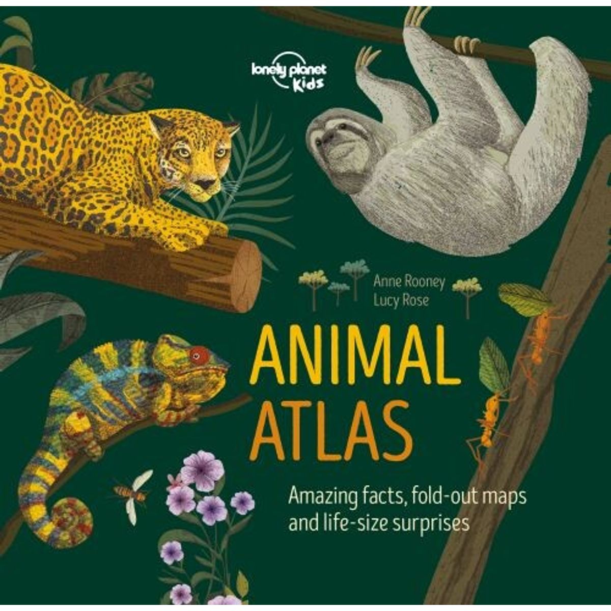 Animal Atlas - Anne Rooney - English Book