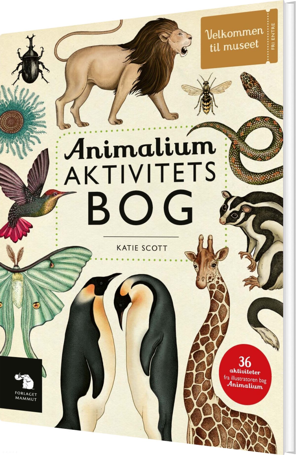 Animalium Aktivitetsbog - Katie Scott - Bog