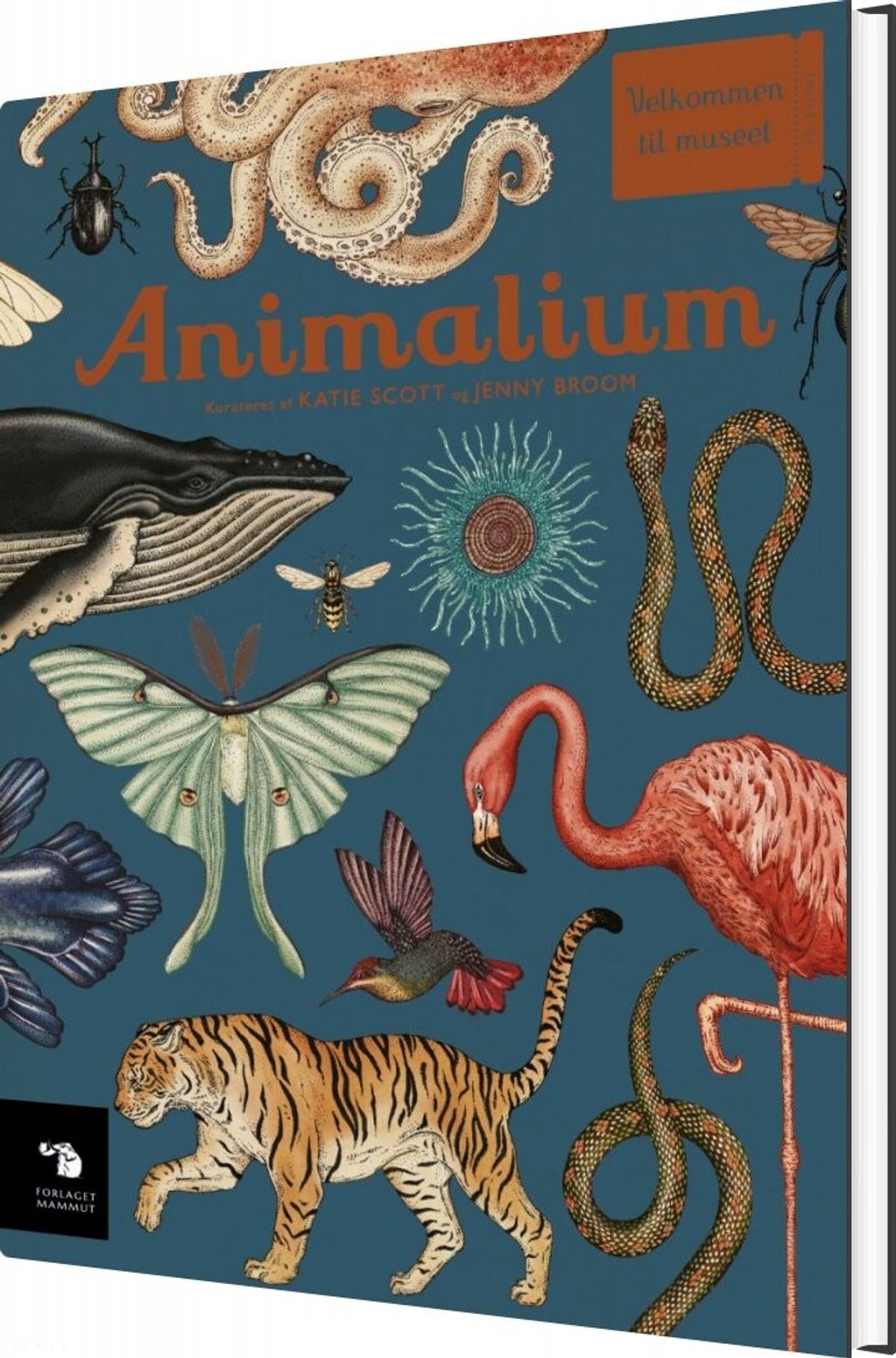 Animalium - Katie Scott - Bog