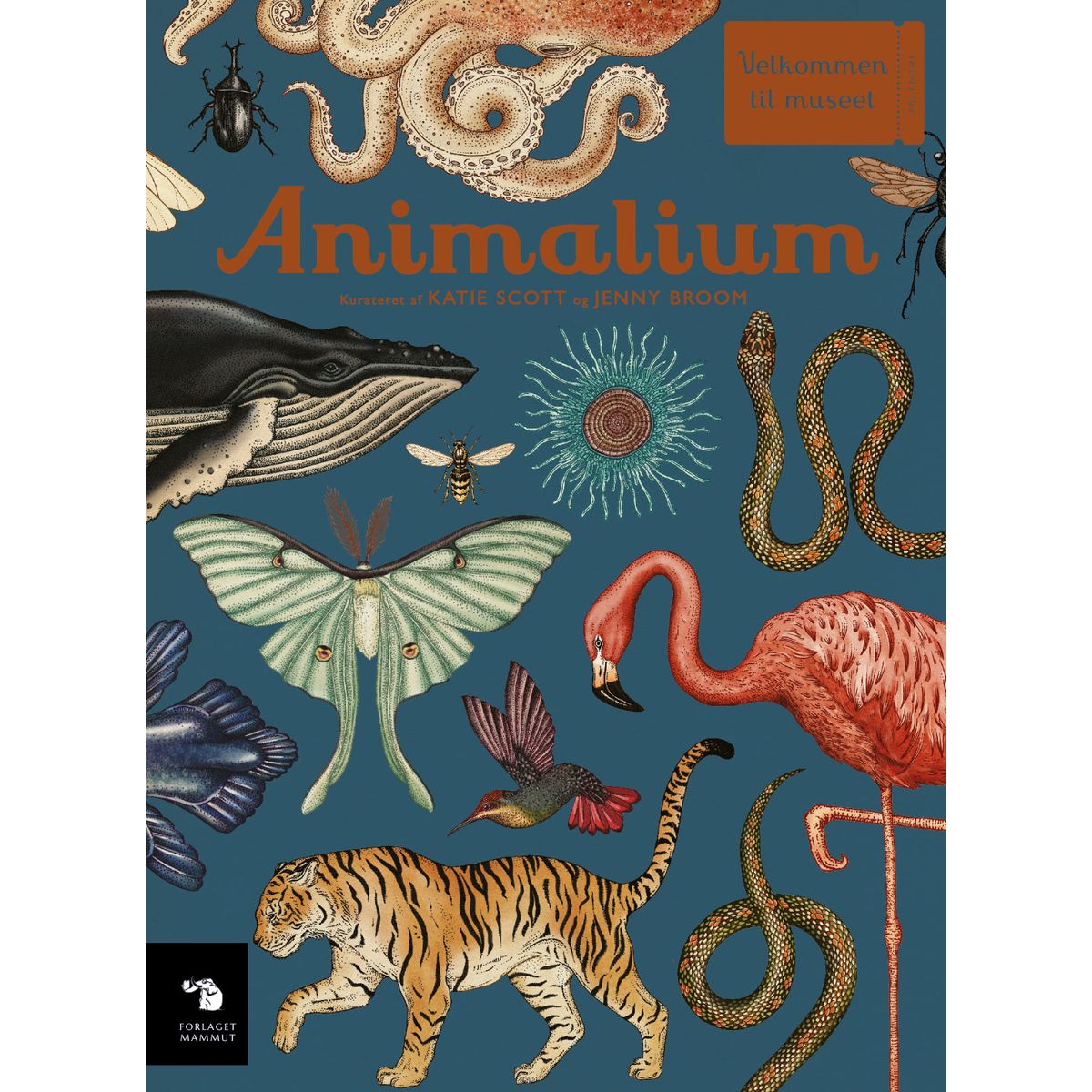 Animalium