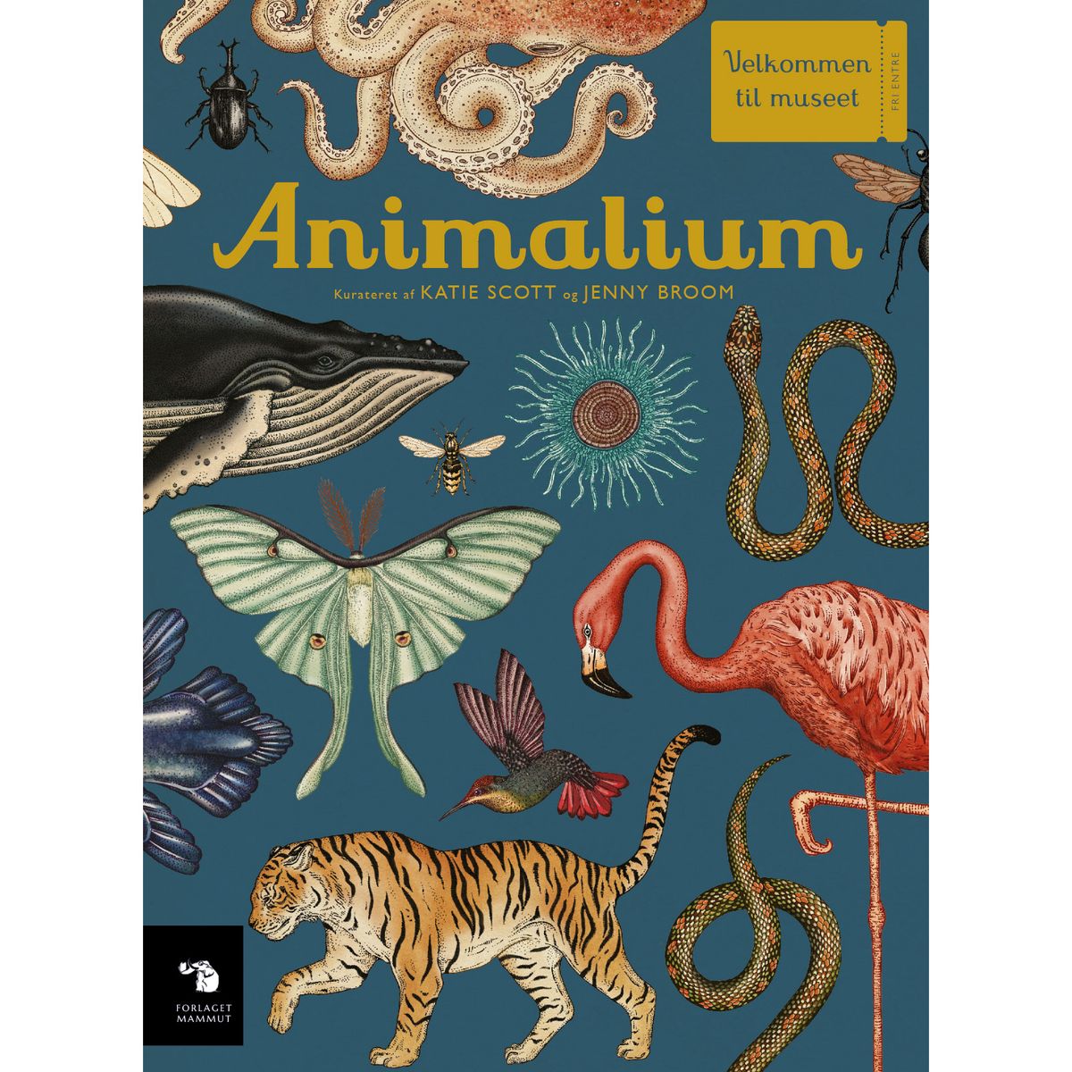 Animalium (One size)