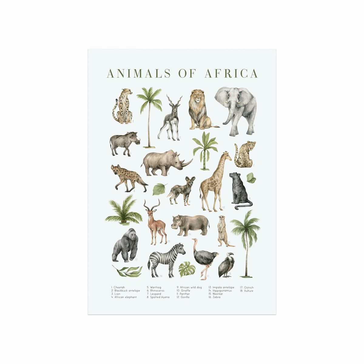 Animals of Africa