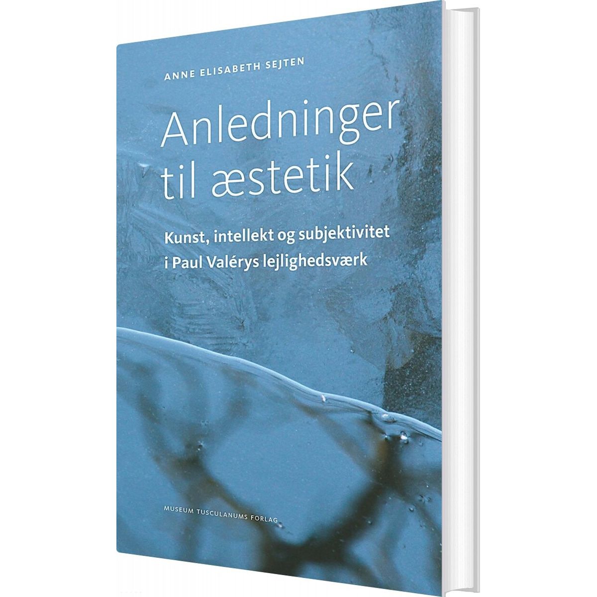 Anledninger Til æstetik - Anne Elisabeth Sejten - Bog