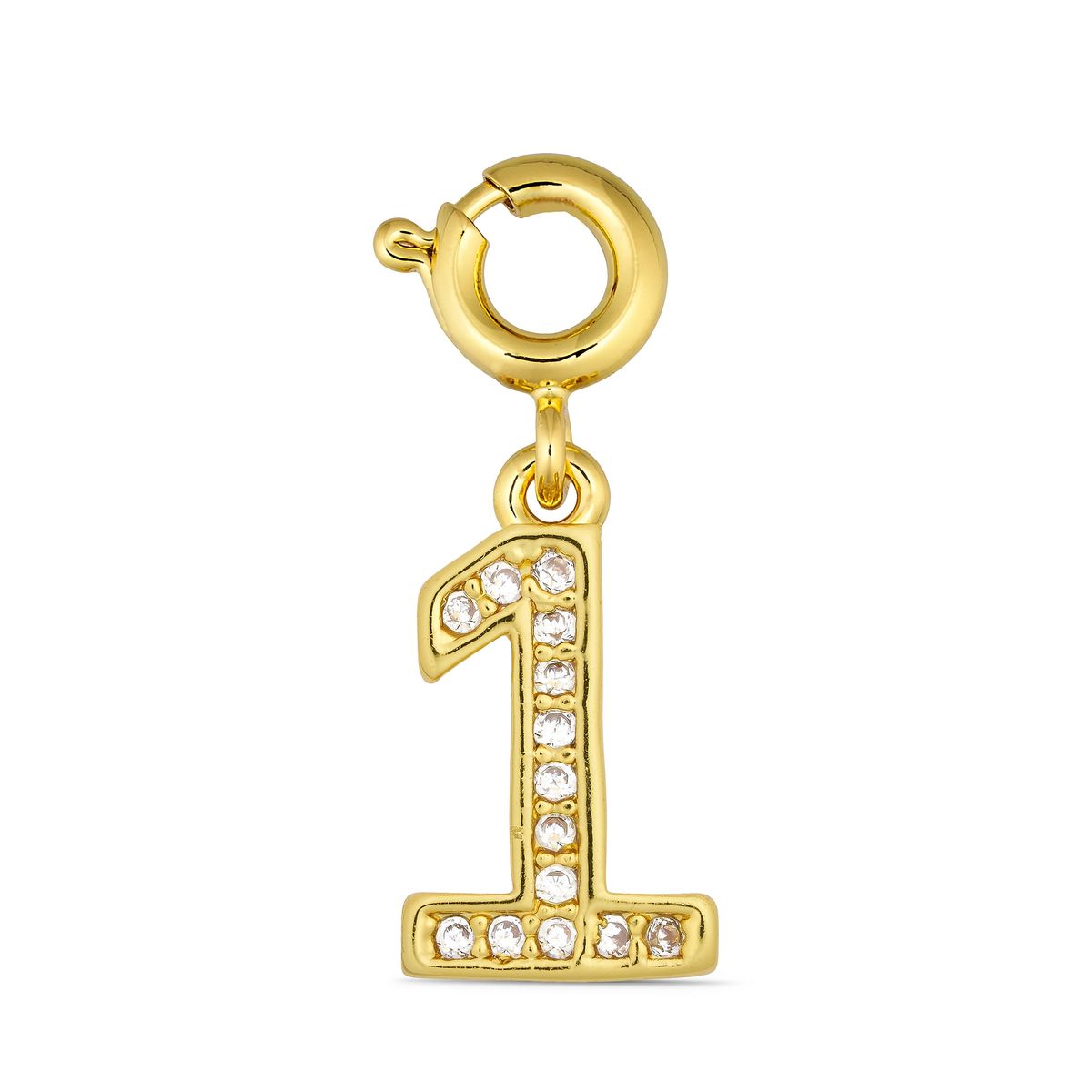 ANNEBRAUNER Number 1 Charm