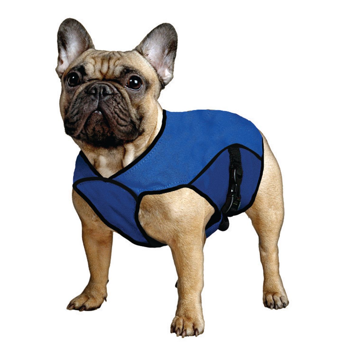 Aqua Coolkeeper Cooling Pet Jacket / Køledækken. Kan variere i nuance/mønster.