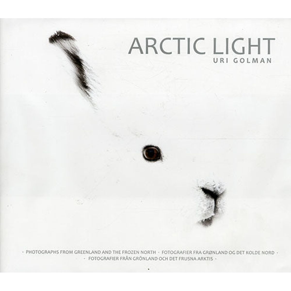 Arctic Light