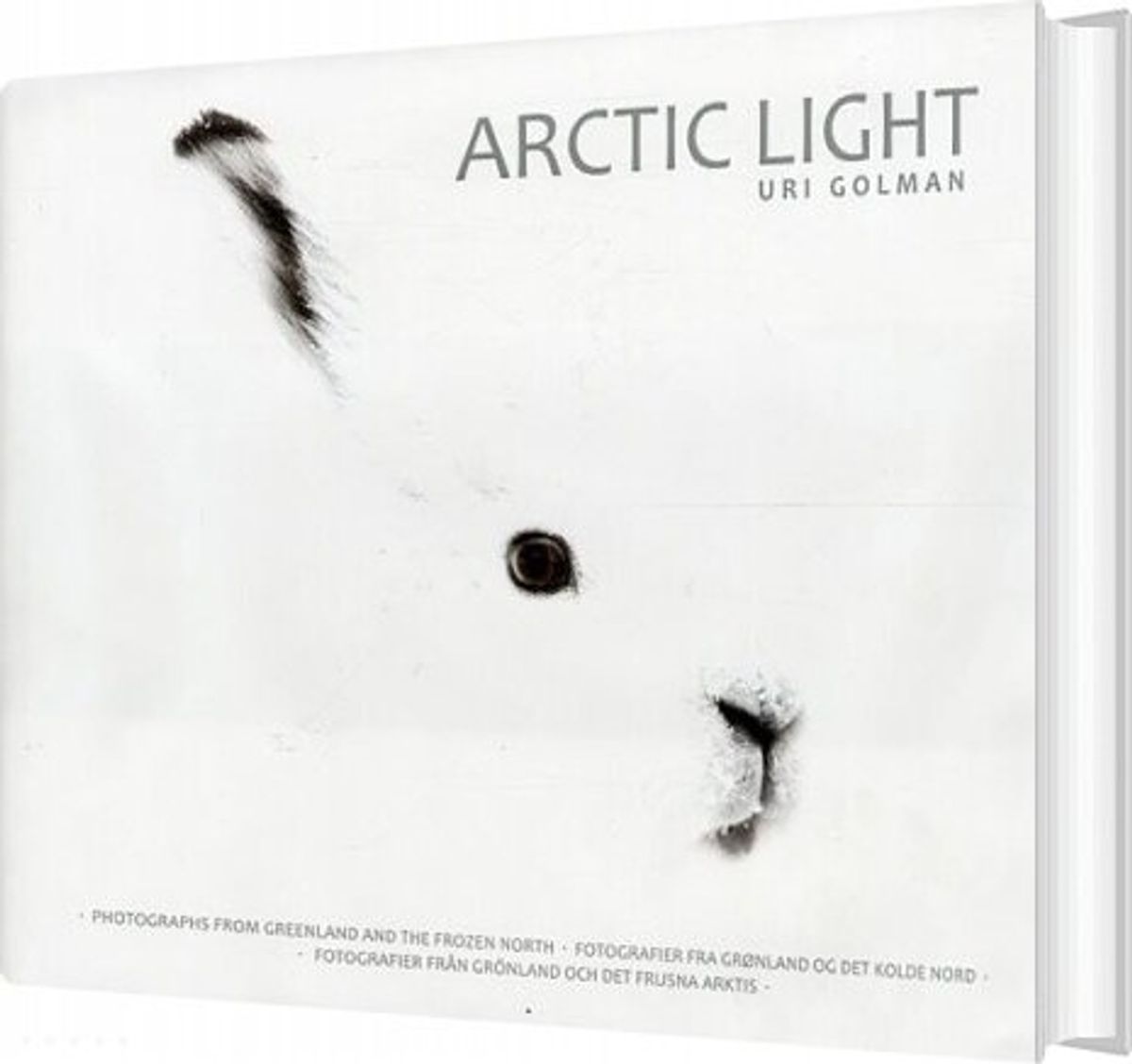 Arctic Light - Uri Golman - Bog