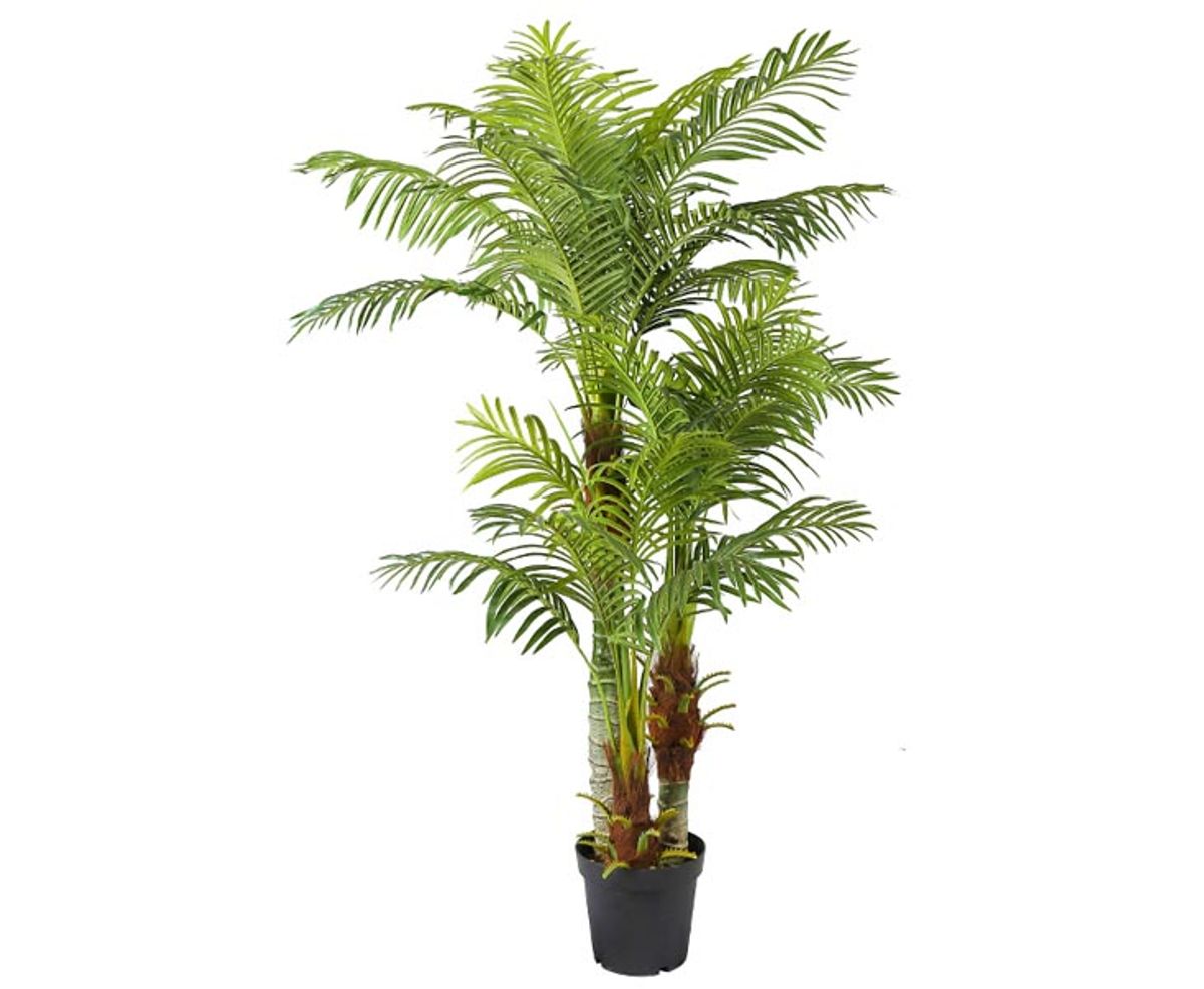 Areca palme 180 cm med 30 palmeblade