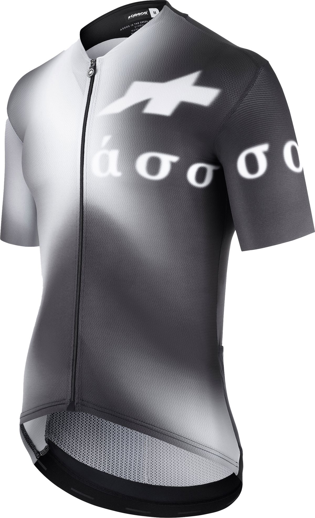 Assos EQUIPE RS Jersey S9 THE MYTH WITHIN Limited - Grå/Hvid